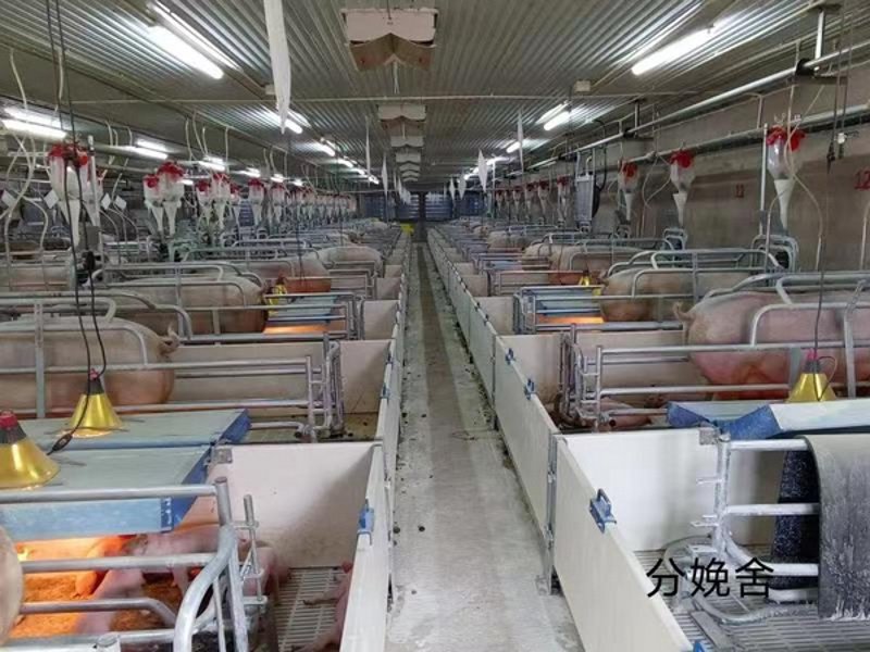 生猪养殖上市公司排名大比拼