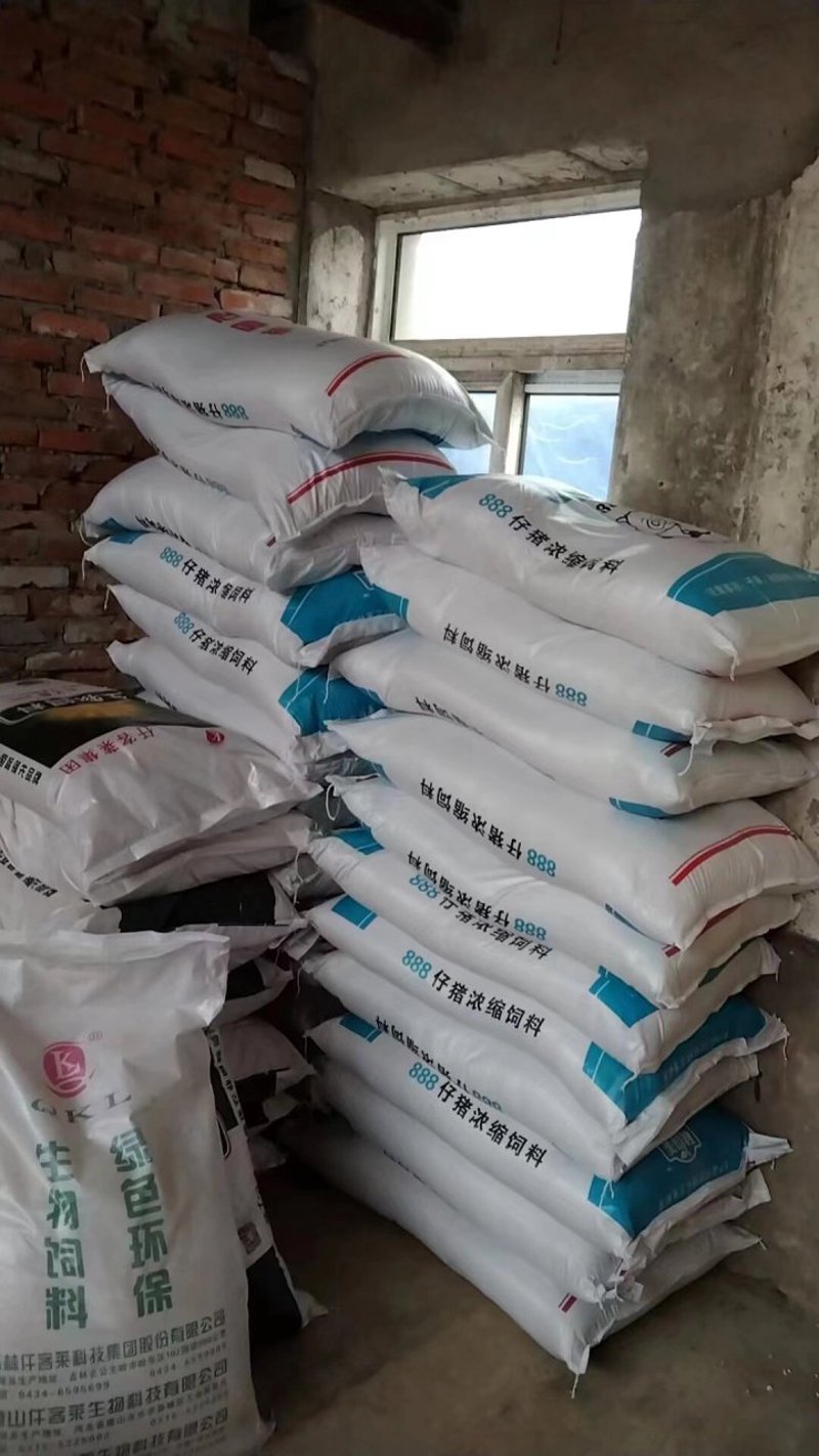 生猪养殖行业的现状与未来走向